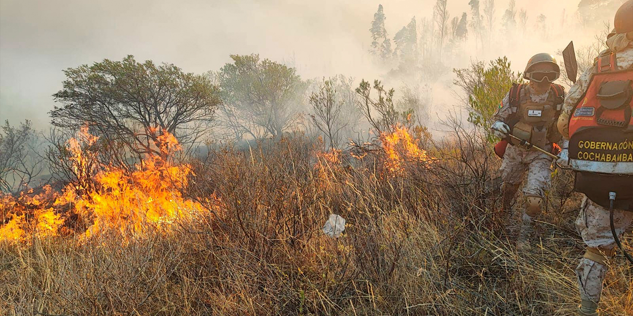 Bomberos forestales combaten los incendios. Foro. Min. Defensa.