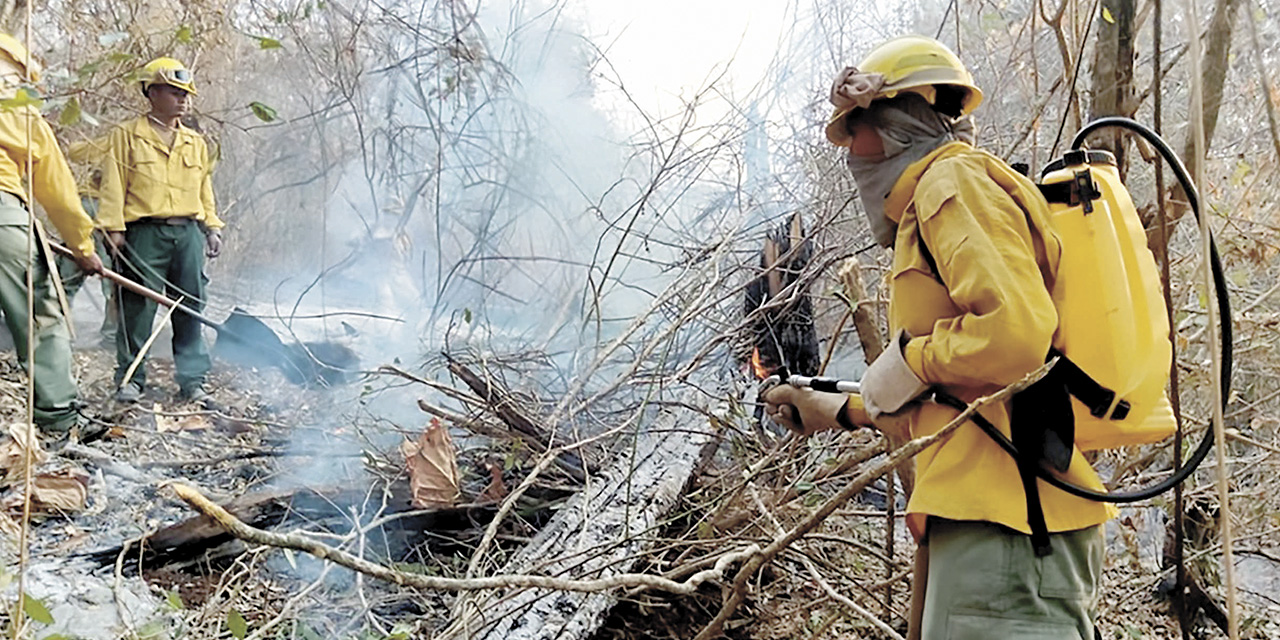 Bomberos forestales de las Fuerzas Armadas, sofocan las llamas en  el oriente boliviano. | Foto: Archivo.