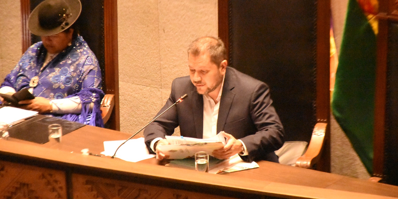 El ministro de Hidrocarburos y Energías, Alejandro Gallardo, en la sesión de la Cámara de Senadores. Foto: MHyE