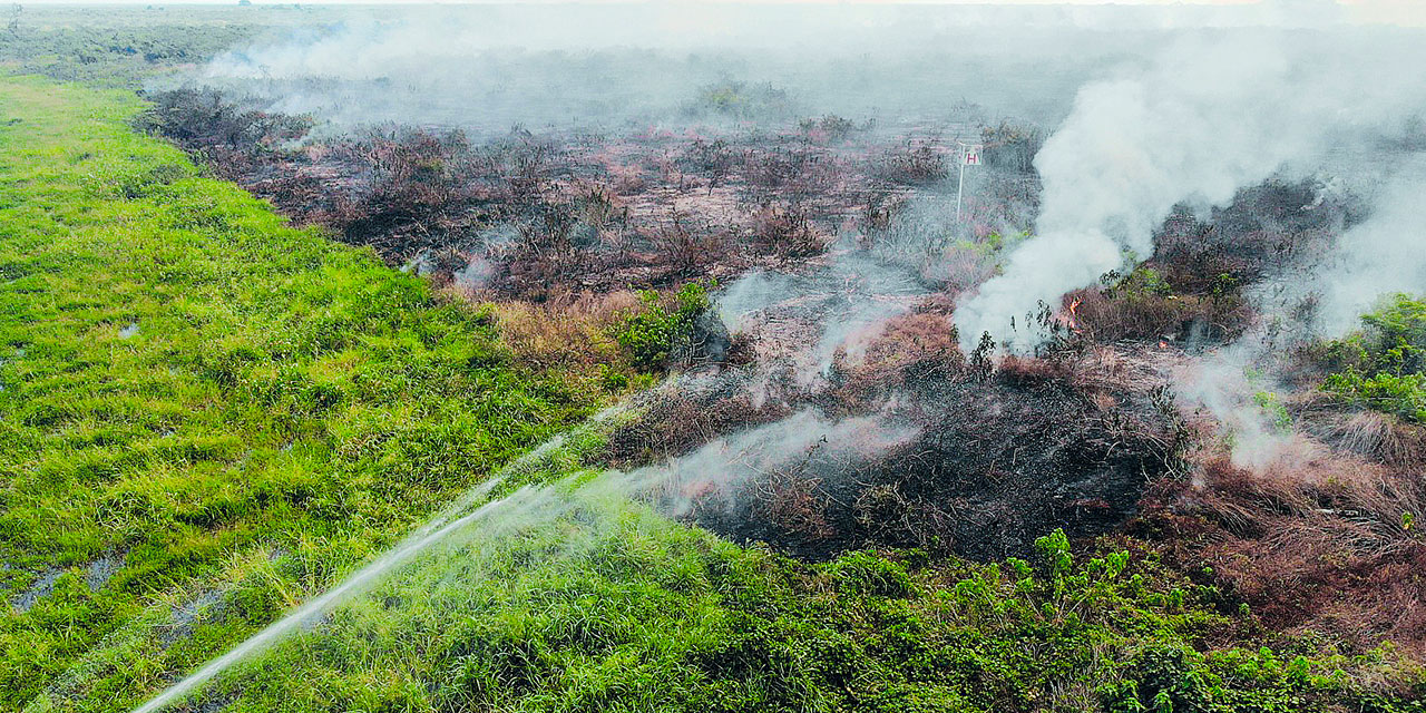 Bomberos forestales de las Fuerzas Armadas combaten los incendios en el oriente boliviano. Foto: Defensa Civil