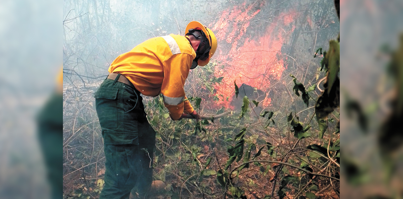 Incendios forestales son sofocados por los bomberos del Ejército y voluntarios en Santa Cruz. Foto: Ministerio de Defensa