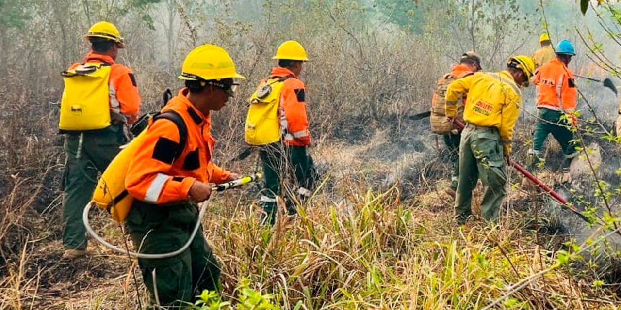 Bomberos en lucha incansable por sofocar los incendios forestales en el país. Foto: ABI