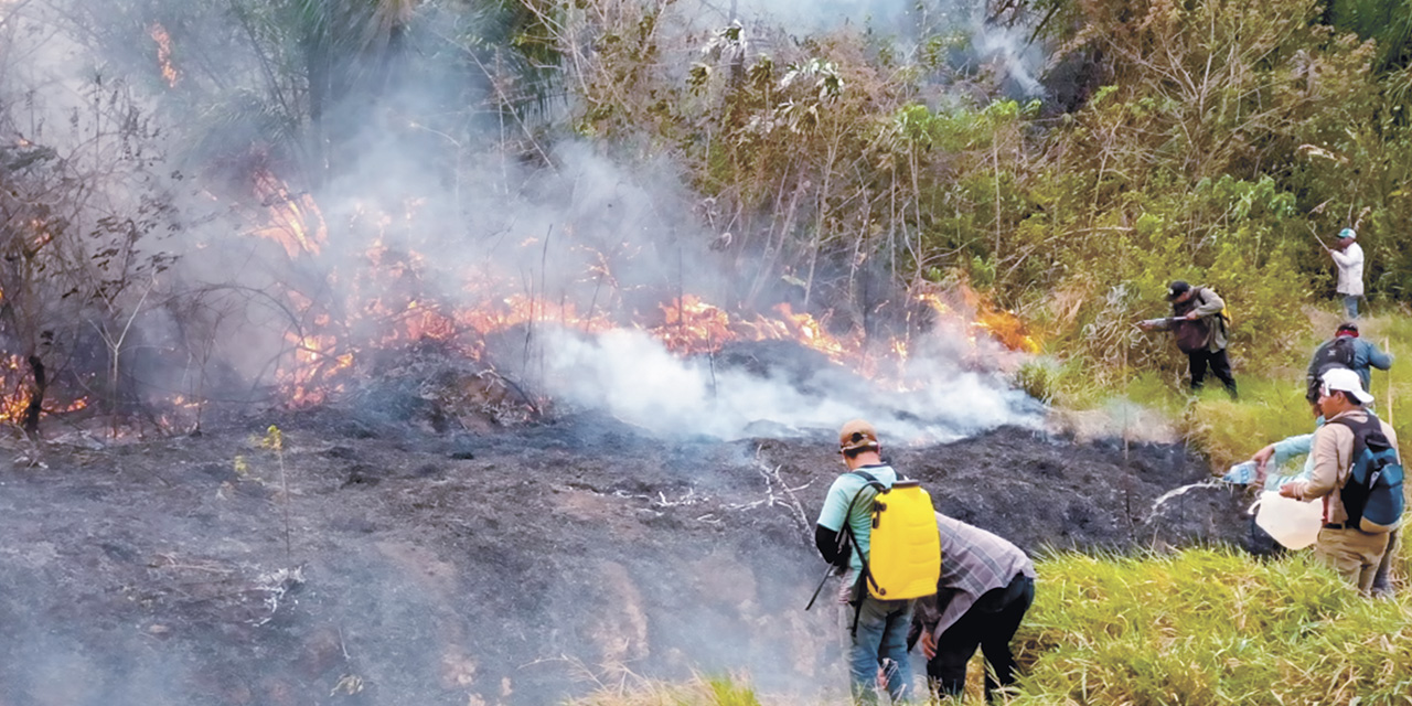 Los incendios forestales son combatidos por voluntarios en el oriente boliviano. | Foto: RRSS