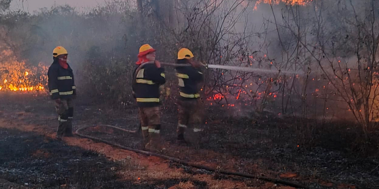 Bomberos forestales combaten incendios. Foto Defensa Civil