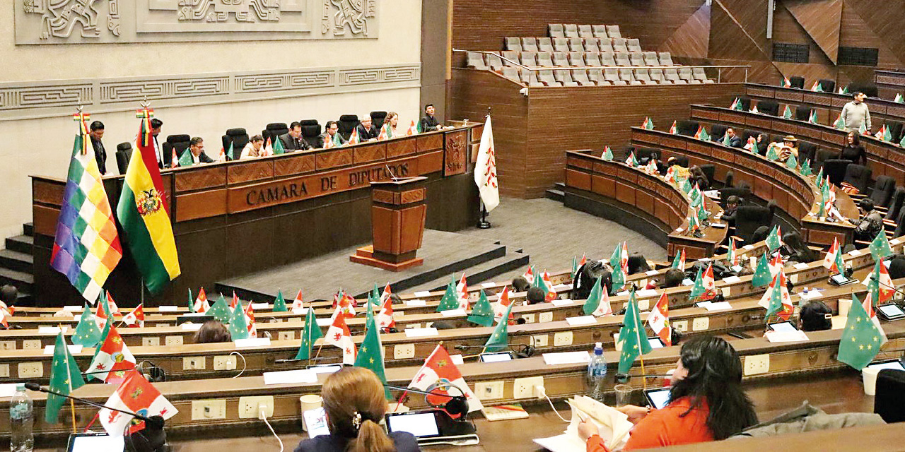 Cámara de Diputados sanciona la ley para las elecciones subnacionales sin modificaciones y la remite al Ejecutivo