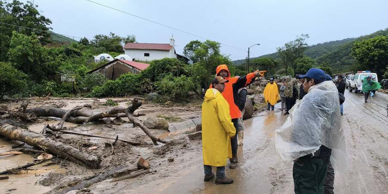 Imágen de referencia