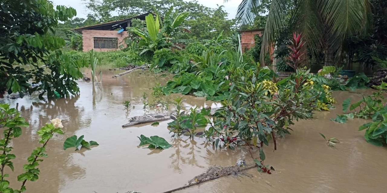 Hay más de 2 mil hectáreas que fueron dañadas en Villa Tunari