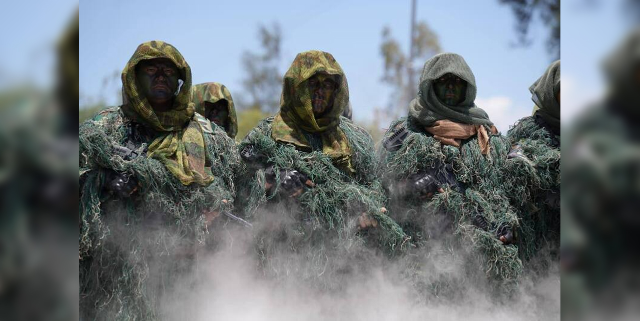 Imagen de referencia