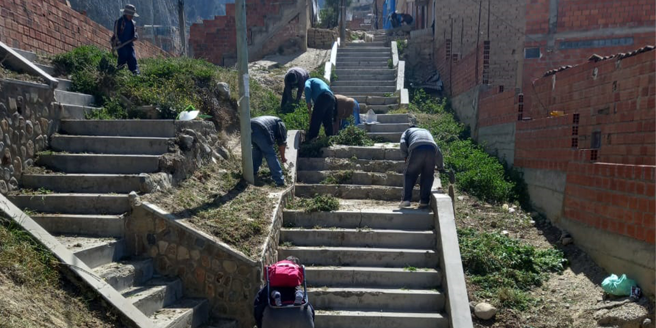 Vecinos de toda edad cortan la maleza de sus graderías. (Fotos: Vecinos de Vino Tinto)