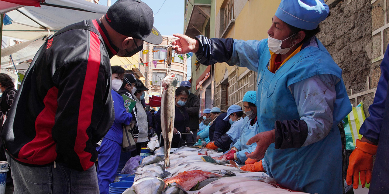 Defensa del Consumidor y Senasag contralan venta de pescado por Semana Santa  