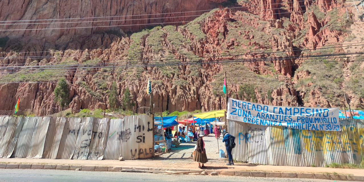 Los productores se asentaron en un predio privado e inauguraron un mercado campesino. Foto: Ahora el Pueblo