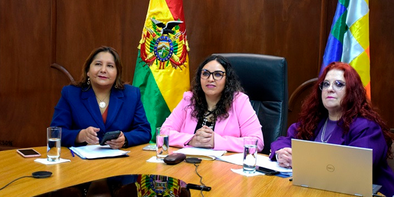 La titular de Salud y sus colaboradores en contacto virtual con el Mercosur. Foto: Min de Salud