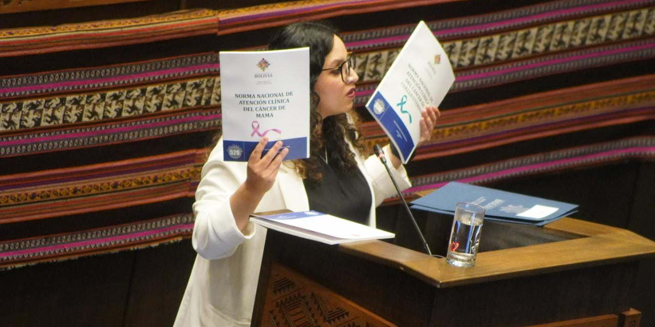 La ministra María Renée Castro ante el pleno de la Asamblea Legislativa durante su interpelación. | Foto: Jorge Mamani