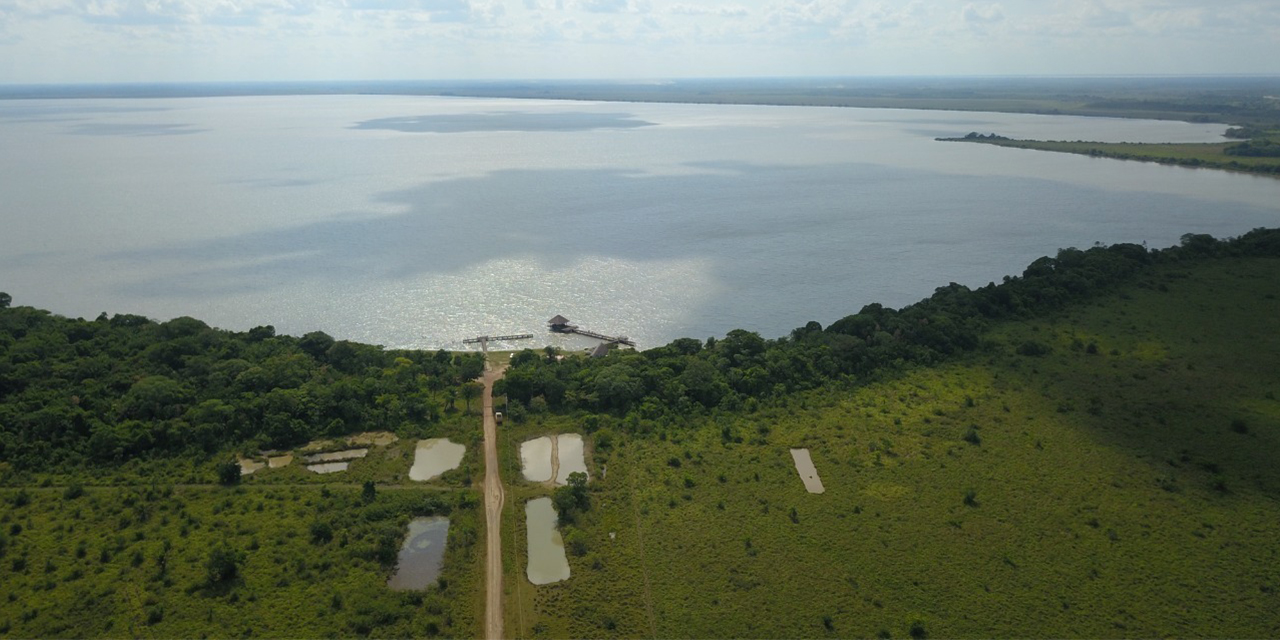 Países amazónicos decididos a preservar su selva