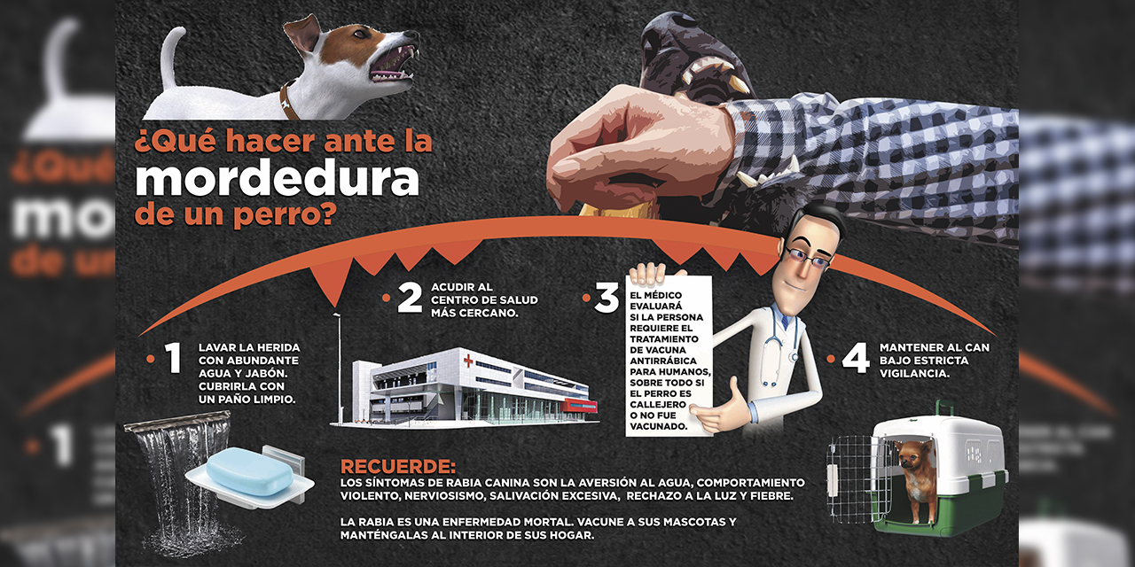 (Infografía: Gabriel Mamani Condo)