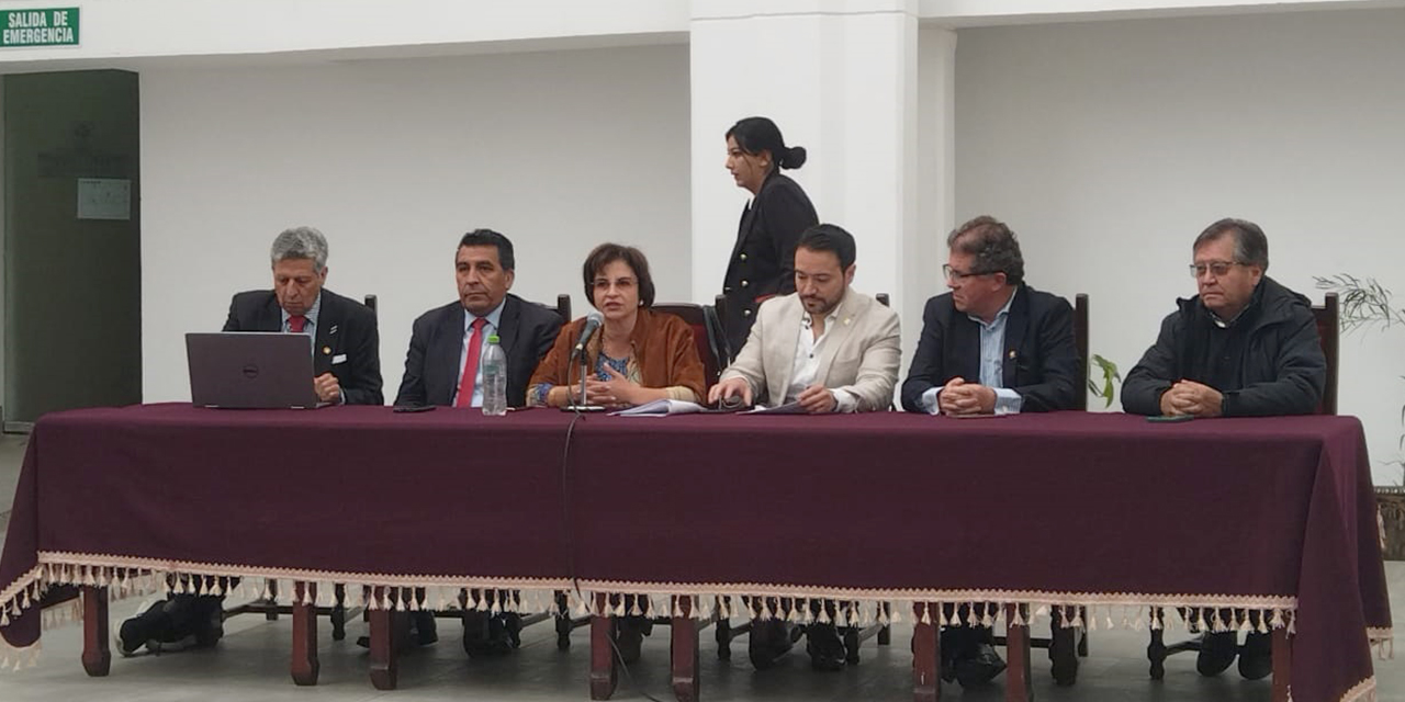 Diputados, la concejal Yerka Maric y representantes de entes colegiados durante el encuentro. (Foto: Gonzalo Jallasi)