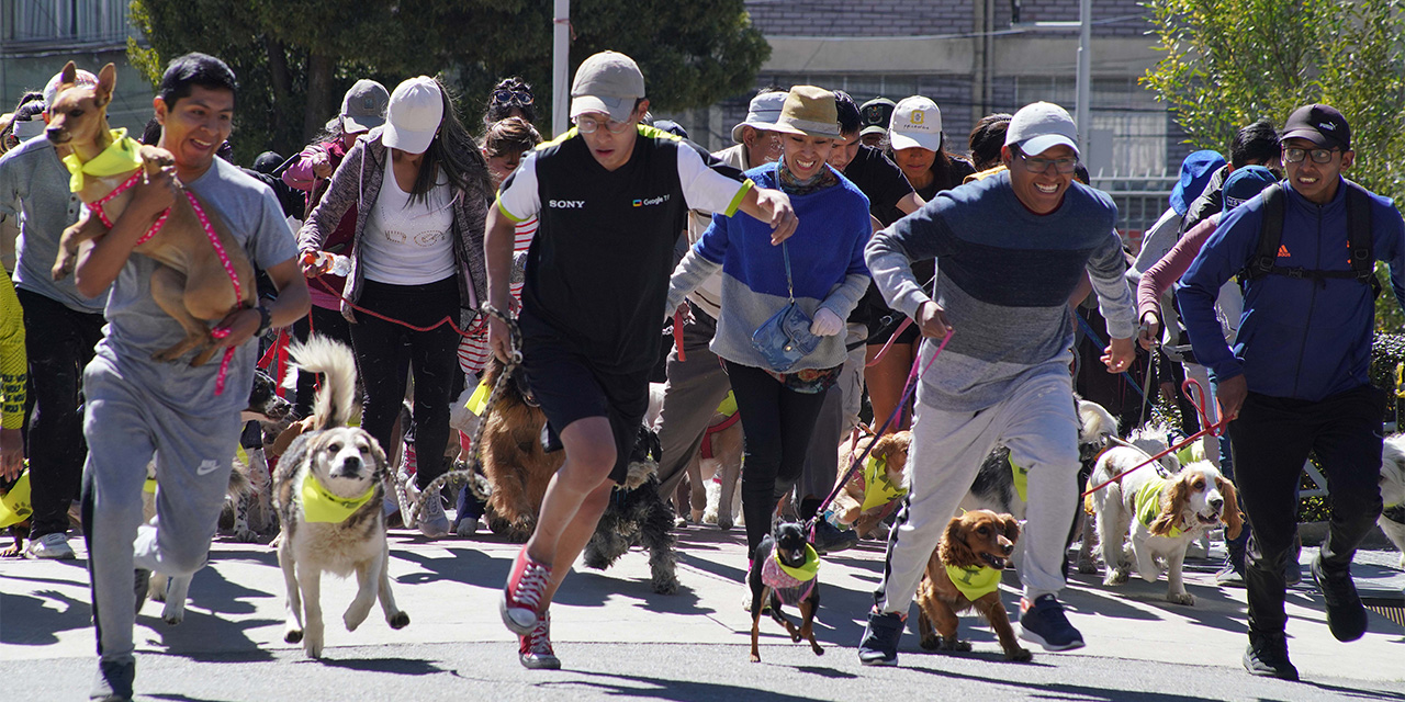 Gobierno protege los derechos de las mascotas de todo el país