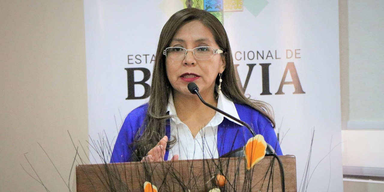 La viceministra de Educación,Viviana Mamani, durante la presentación. (Foto: Ministerio de Educación)