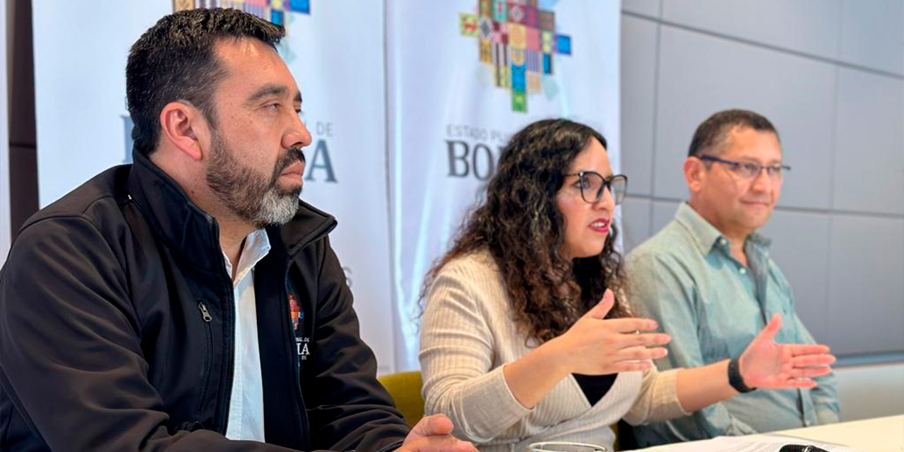 La ministra de Salud, María Renée Castro, durante el encuentro. Foto: Ministerio de salud