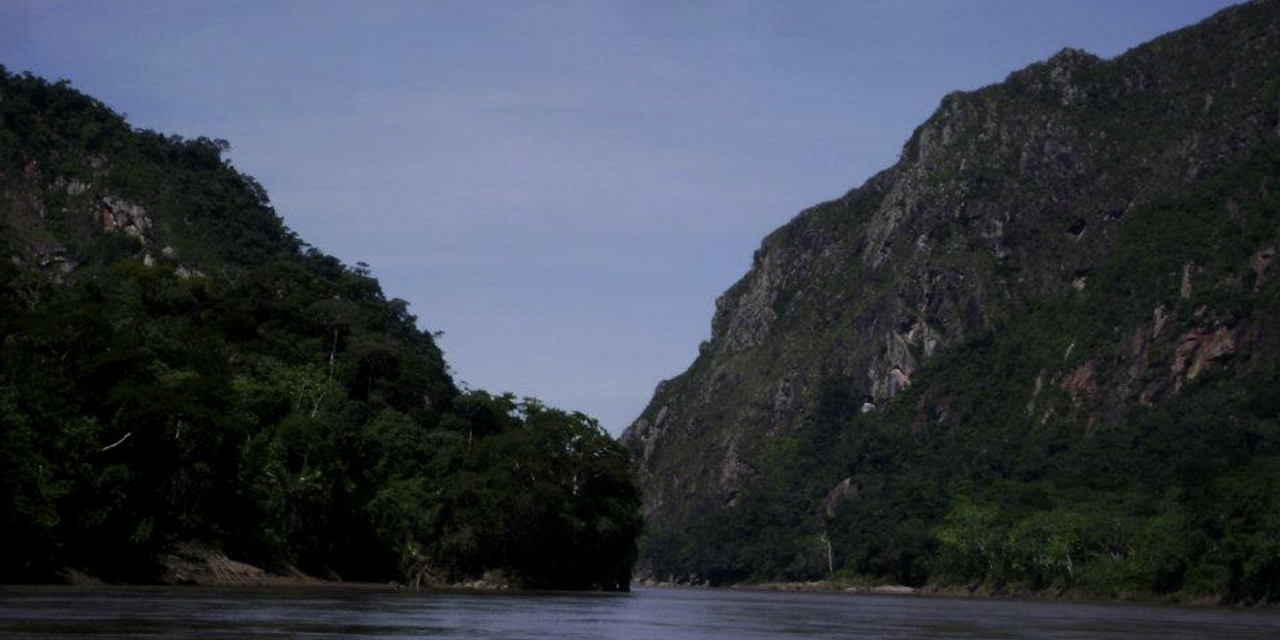 El Madidi es una de las áreas protegidas más diversas por su riqueza natural.