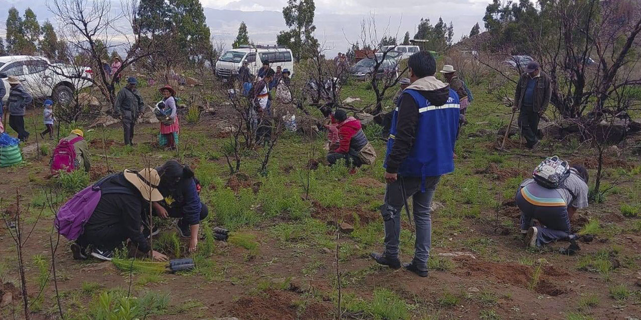 Se preparan actividades de reforestación para cuidar el agua. | Foto: Archivo.