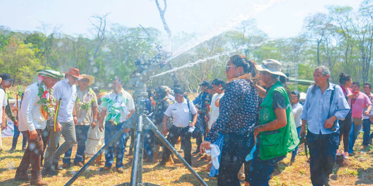 Foto: Comunicación Presidencial