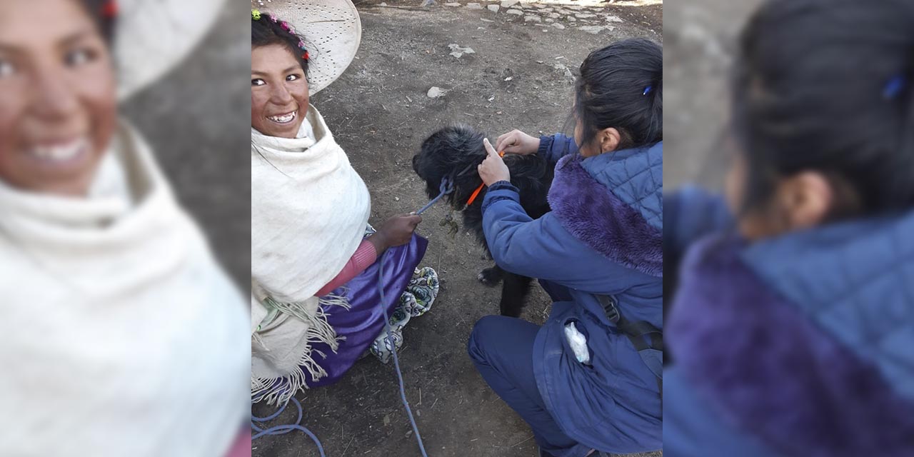 La población urbana y rural se aproximó a los puntos de vacunación. (Foto: Ministerio de Salud)