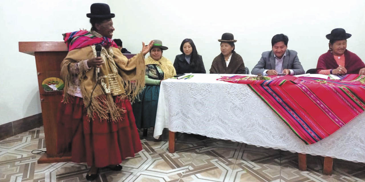 Mujeres aymaras se capacitaron para luchar contra la violencia. | Foto: CDIMA