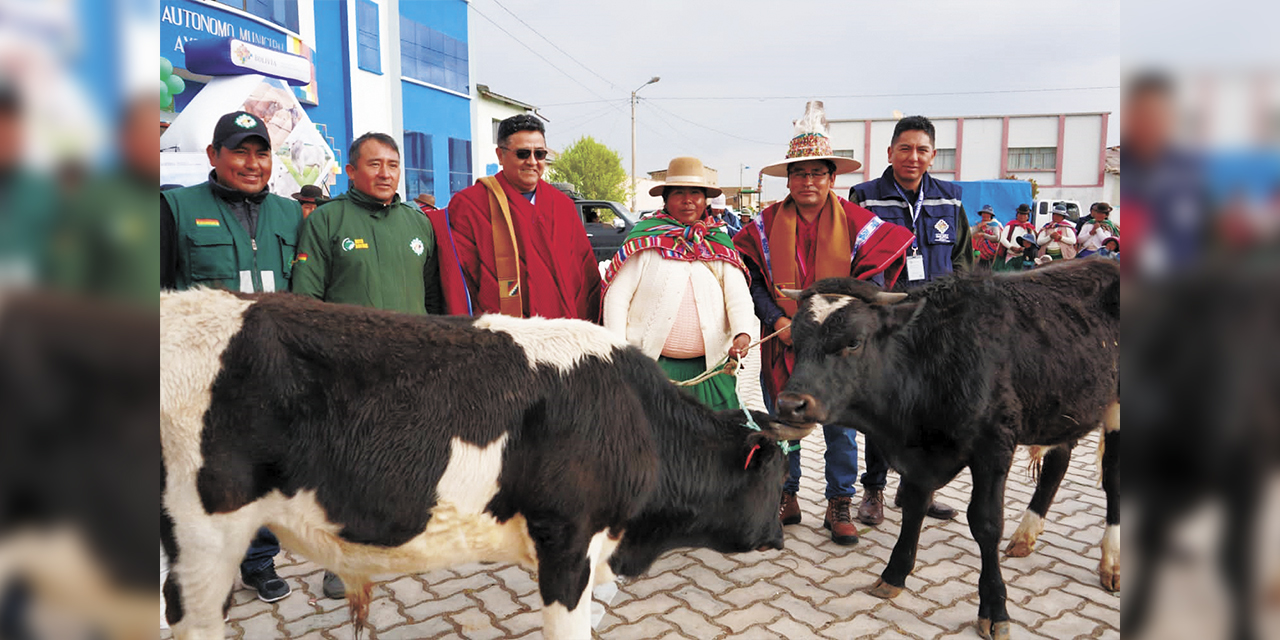 Productores pecuarios de Ayo Ayo reciben ganado. | Foto: MDRyT