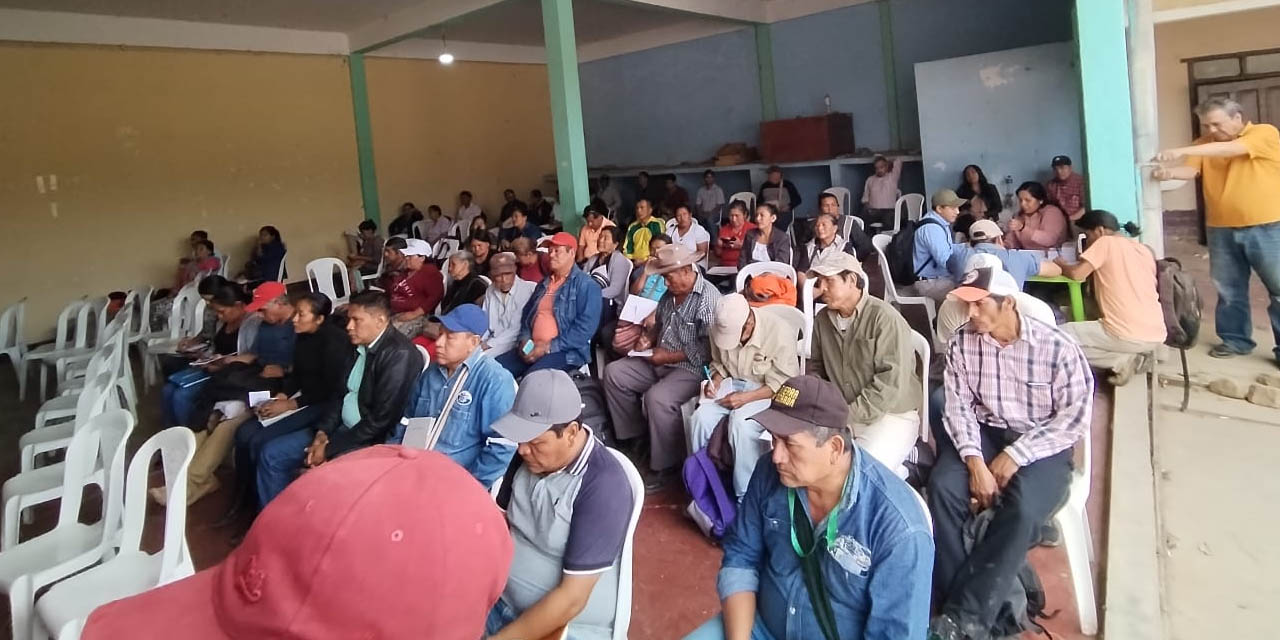 Asamblea del Pueblo Guaraní