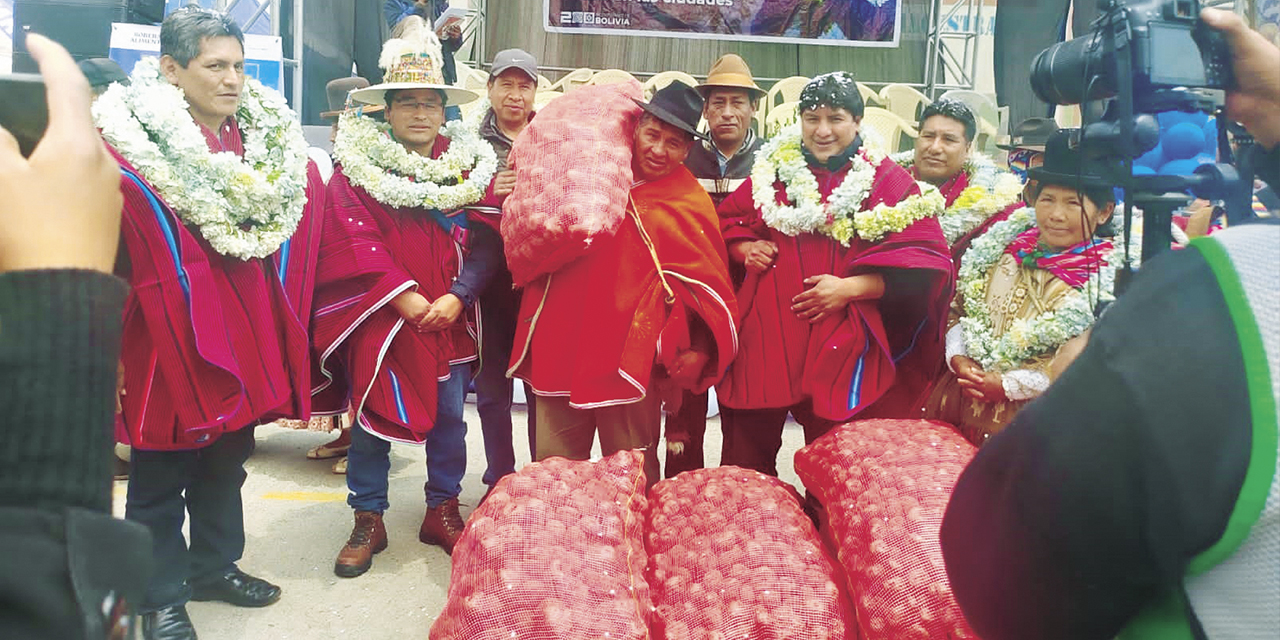 La semilla de papa que fue entregada a productores. | Foto: MDRyT