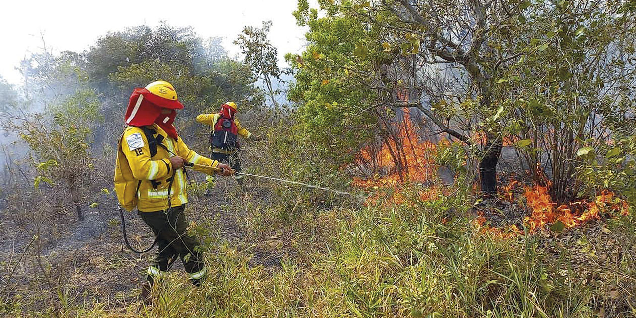 Gracias a las lluvias y al arduo trabajo de bomberos, los incendios forestales se redujeron de manera significativa y fueron mitigados. | Foto: Archivo