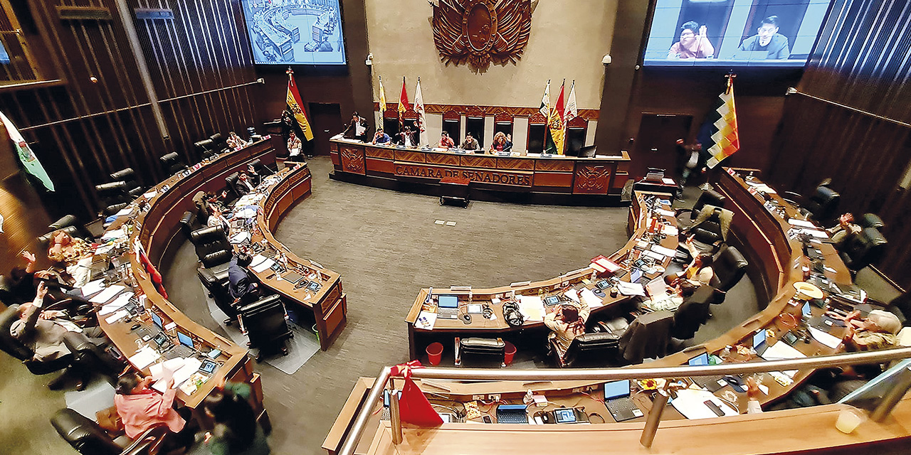 La Cámara de Senadores aprobó una normativa que beneficiará a niños y adolescentes.  | Foto: RRSS