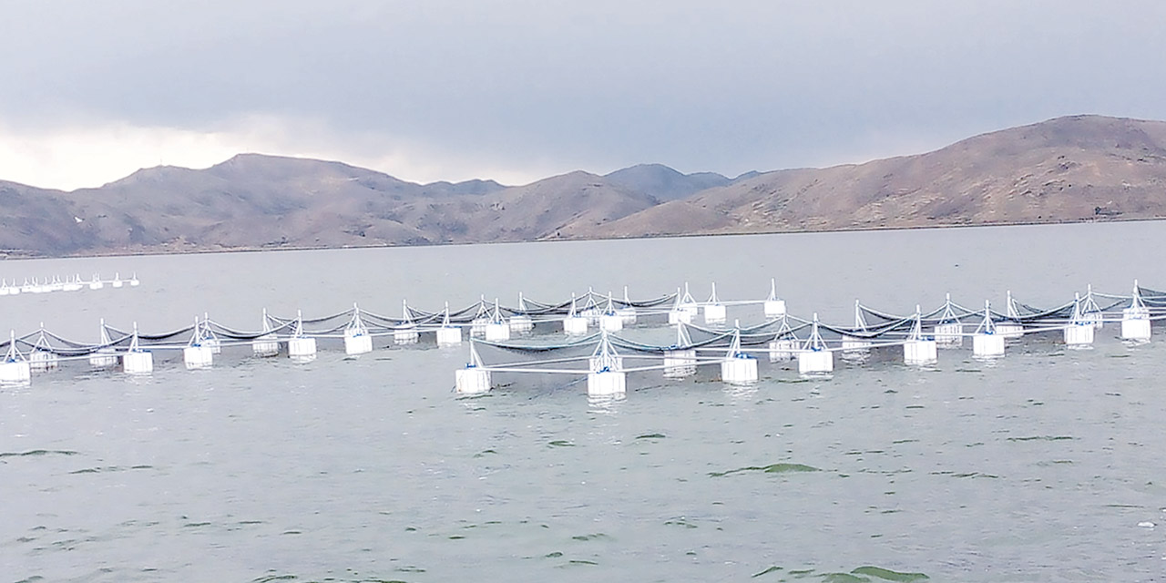 Las jaulas flotantes para los pequeños productores piscícolas. | Foto: MDRyT