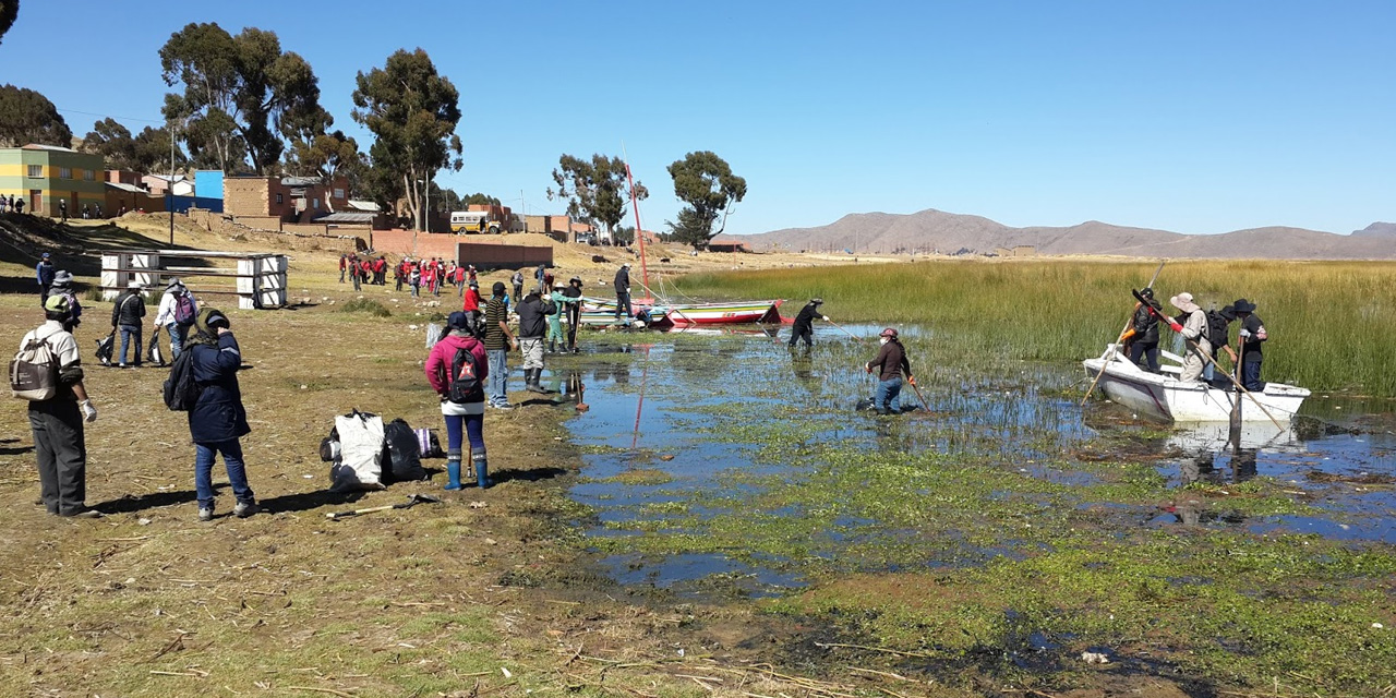 Una de las campañas de limpieza a orillas del lago Titicaca. Foto: Archivo.