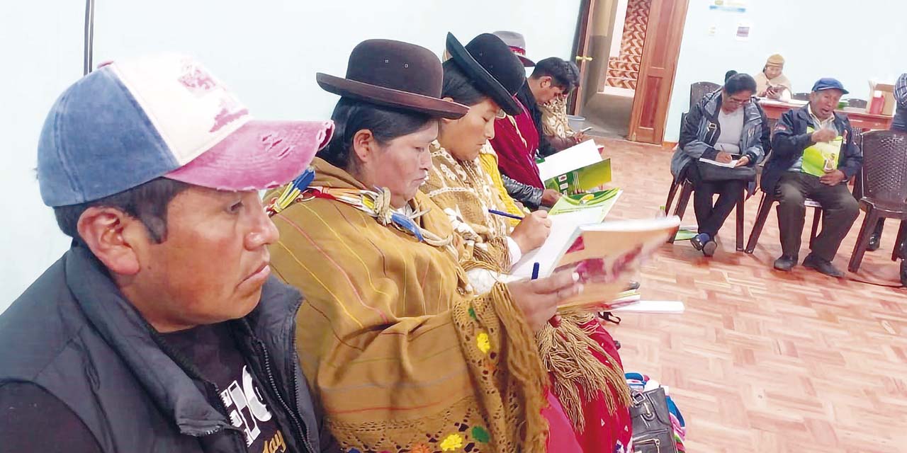 Mujeres aymaras de municipios rurales recibirán formación en liderazgo.  | Foto: CDIMA