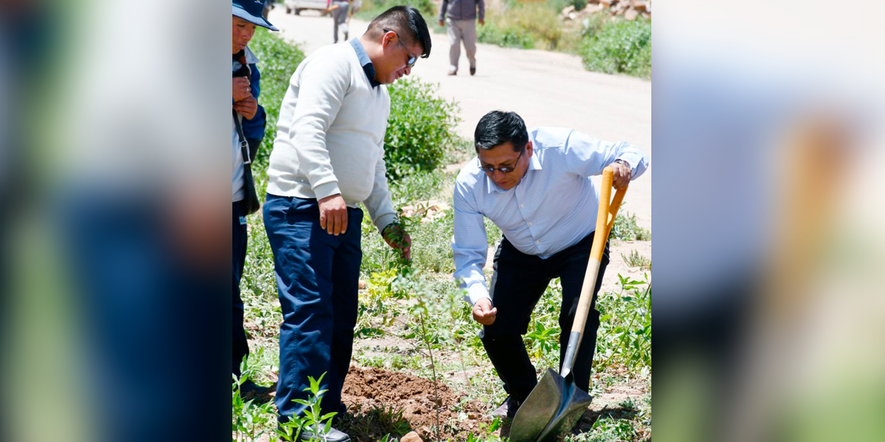 Foto: Ministerio de Medio Ambiente.