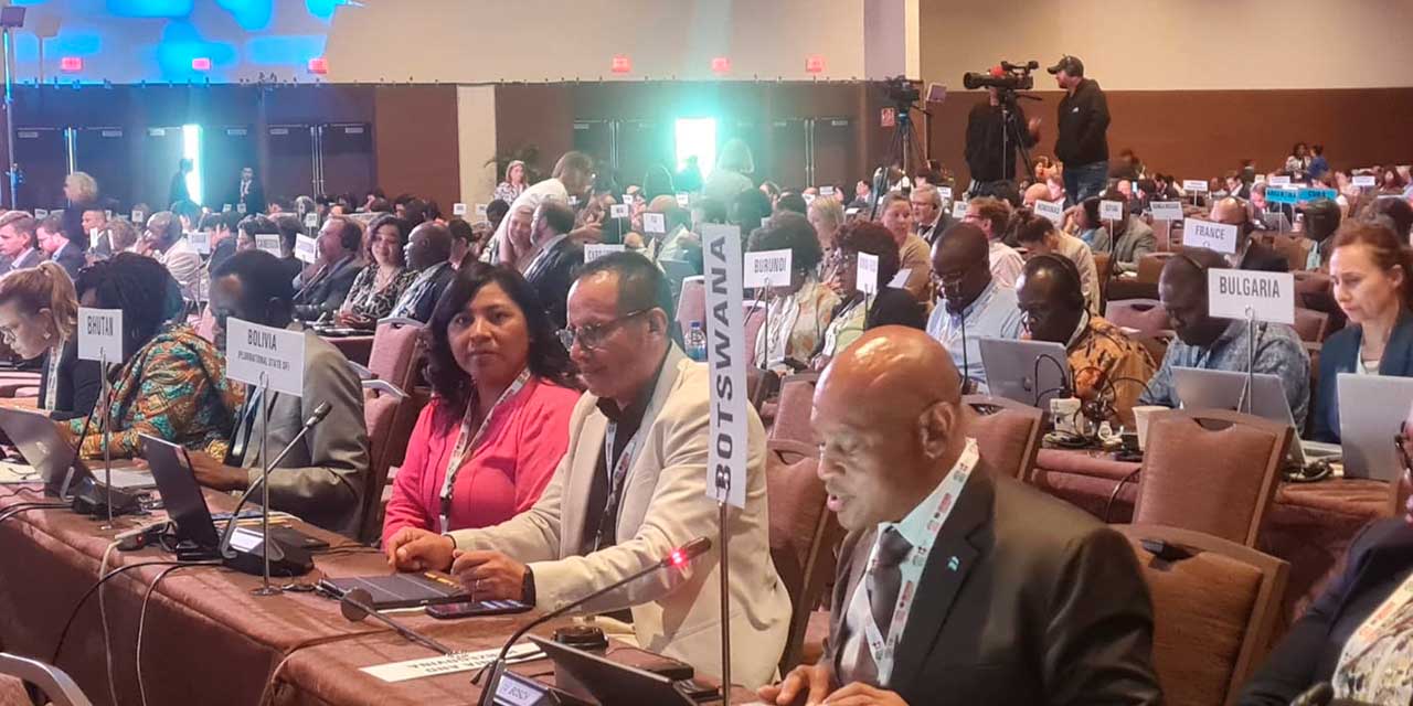 La directora de Promoción de Salud, Mirian De la Cruz, durante su participación.  Foto:  Ministerio de Salud