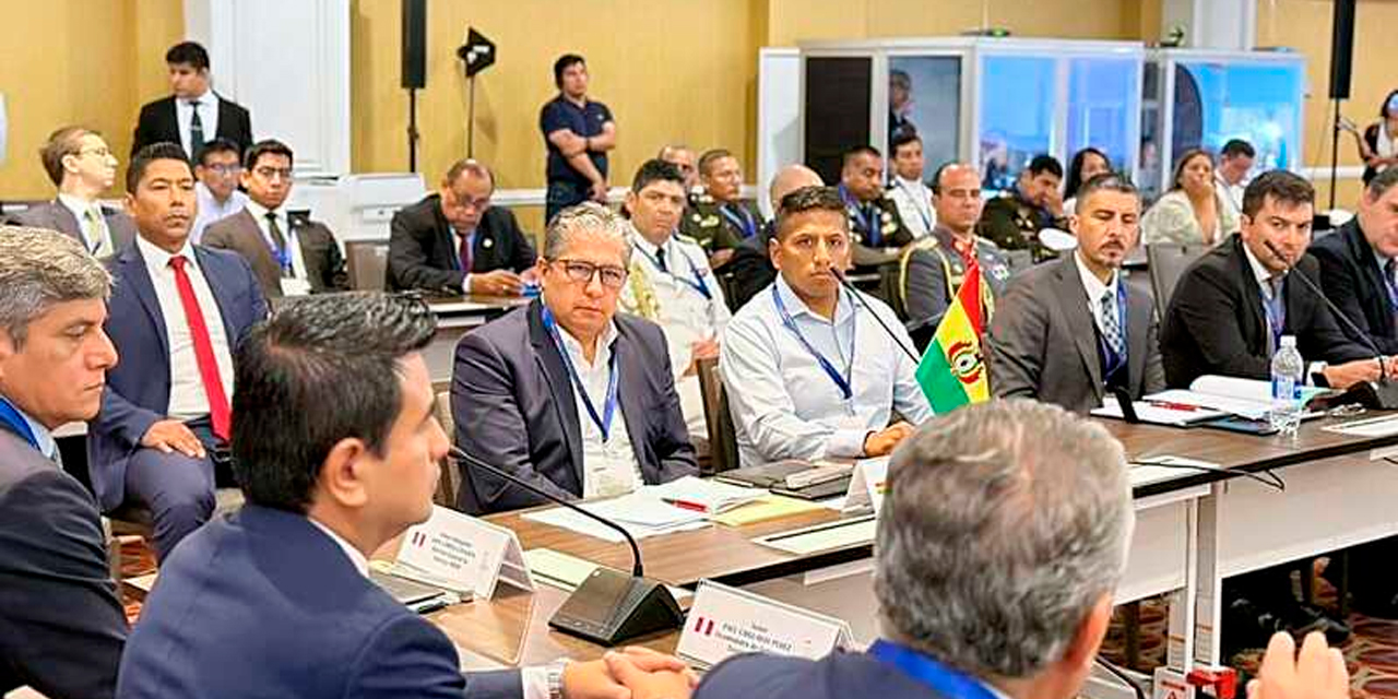 El ministro de Defensa, Edmundo Novillo, participó del encuentro en Lima. Foto:Ministerio de Defensa