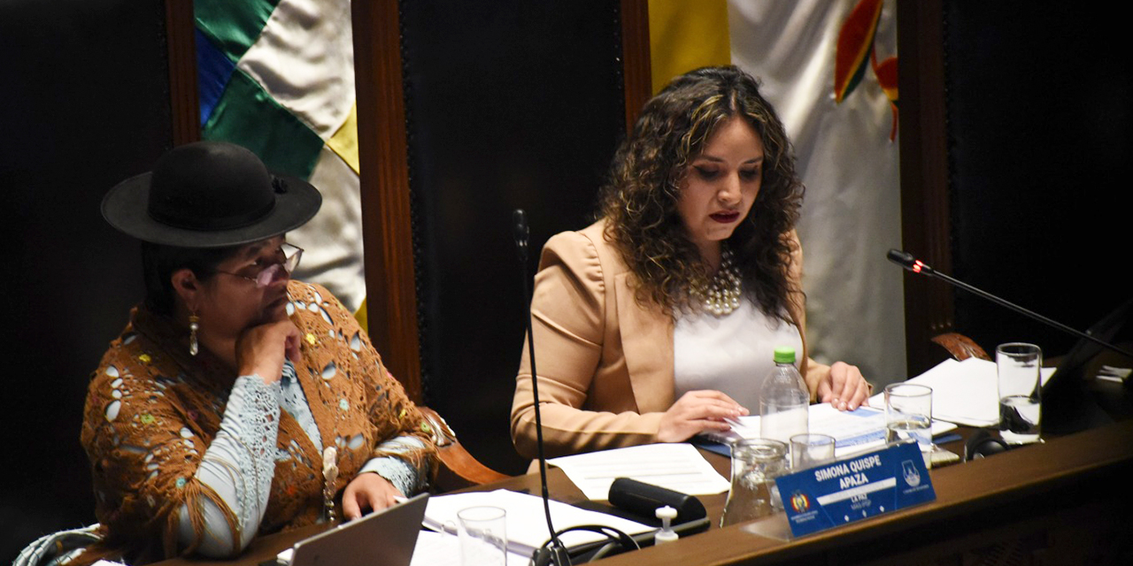 La ministra de Salud, María Renée Castro, durante su informe. Foto: Gustavo Ticona  