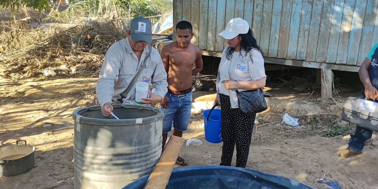 Técnicos del Ministerio de Salud eliminan criaderos de mosquitos. 