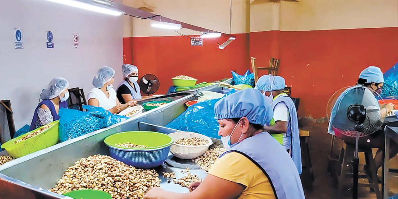 Las mujeres trabajadoras tendrán hoy medio día de tolerancia. Foto: Ministerio de Trabajo