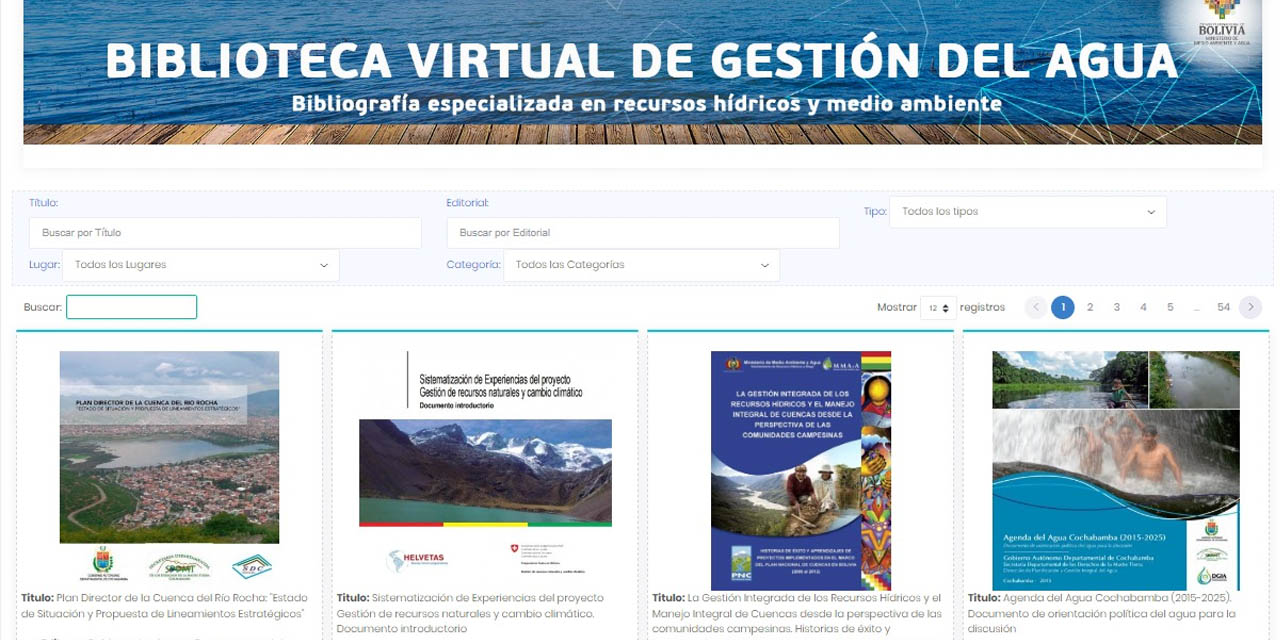 Se puede acceder a la biblioteca virtual desde la página del MMAyA. | Foto: Captura de Pantalla