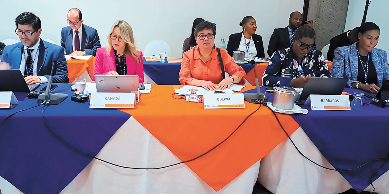 La ministra Verónica Navia en el taller hemisférico. Foto: MINISTERIO DE TRABAJO