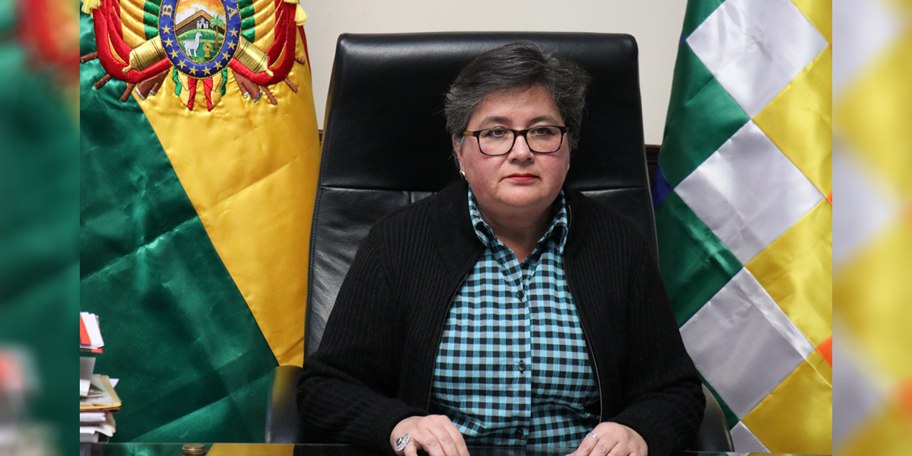 Ministra Navia resalta en la OIT el éxito del modelo económico en la reducción del desempleo en Bolivia 