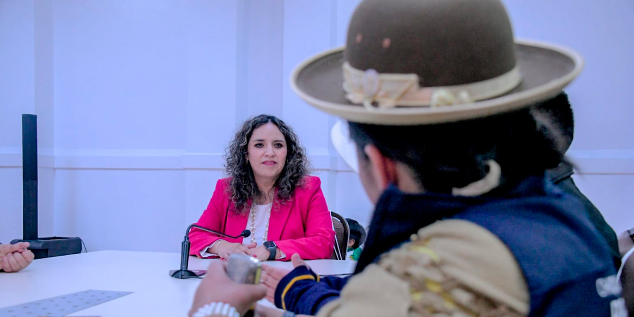 La ministra de Salud, María Renée Castro. Foto: MSyD Archivo