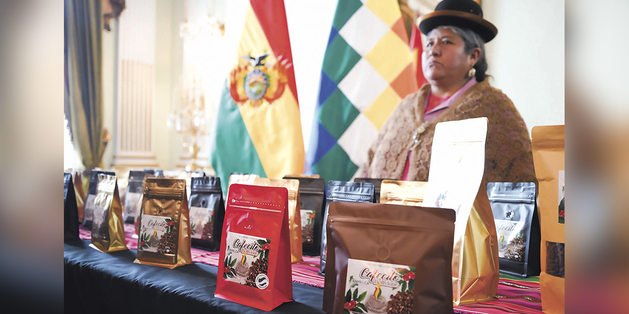 Presentación del torneo nacional Taza de Calidad. | Foto: ABI