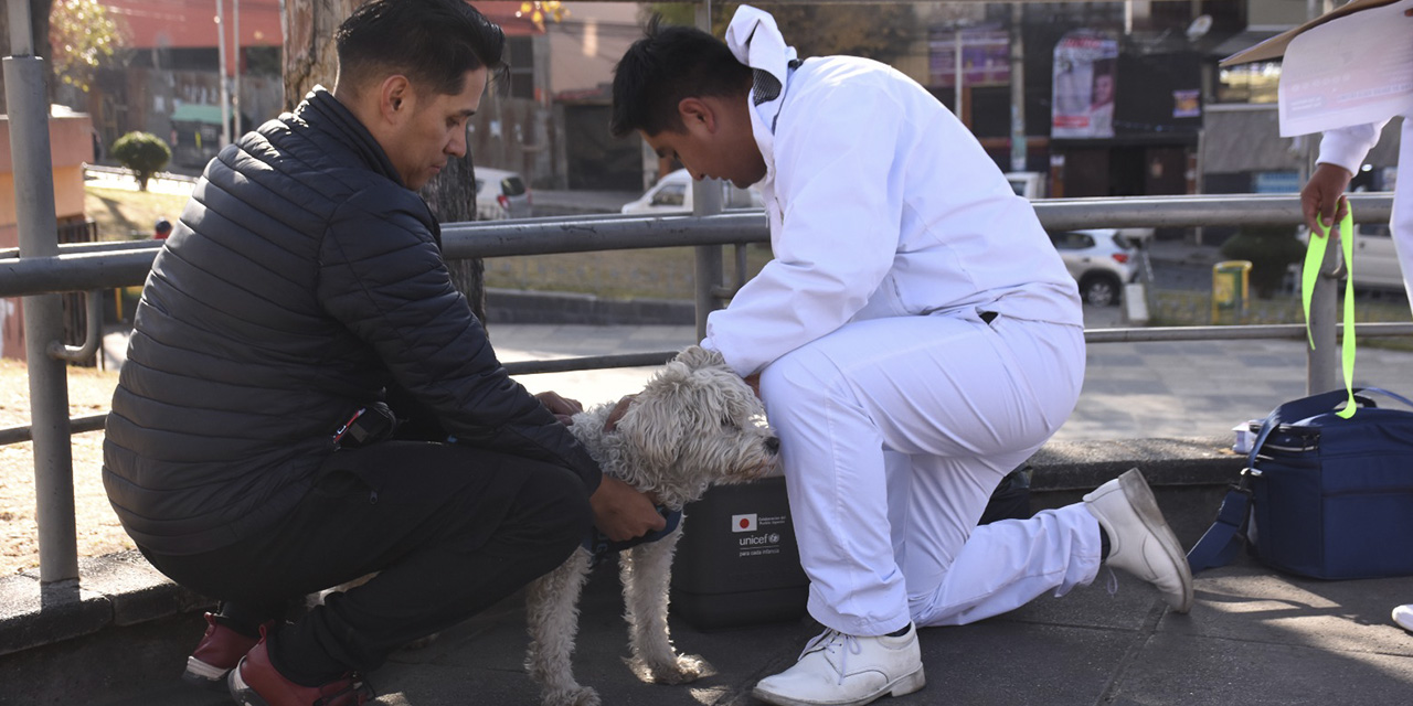 Las vacunas no representan ningún costo para los dueños de las mascotas. 