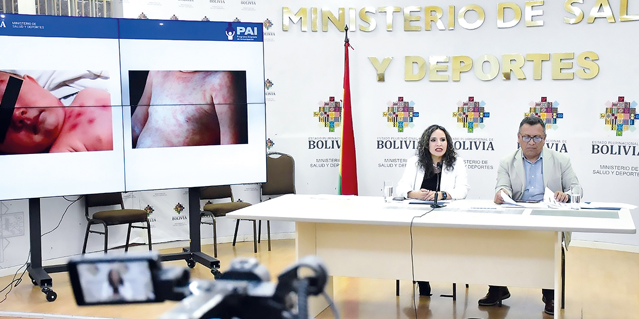 La ministra de Salud, María Renée Castro, durante la conferencia. Foto: MIN. DE SALUD