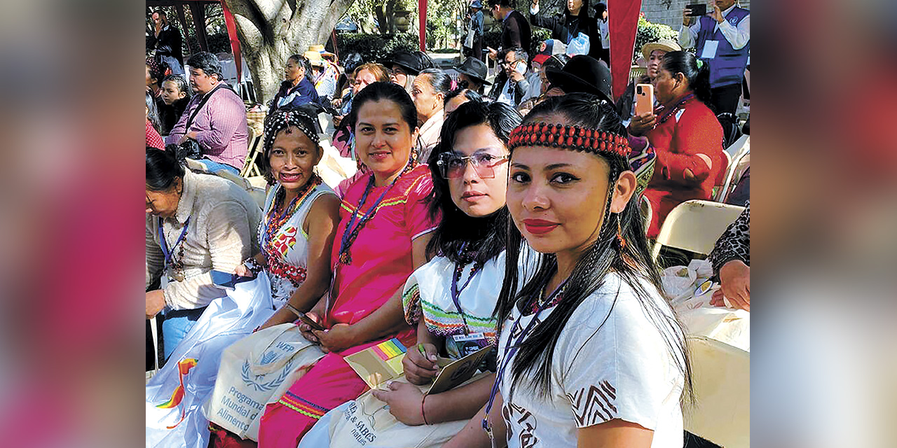 Parte de las representantes de los pueblos indígenas que acudieron a la cumbre.  | Foto: RRSS